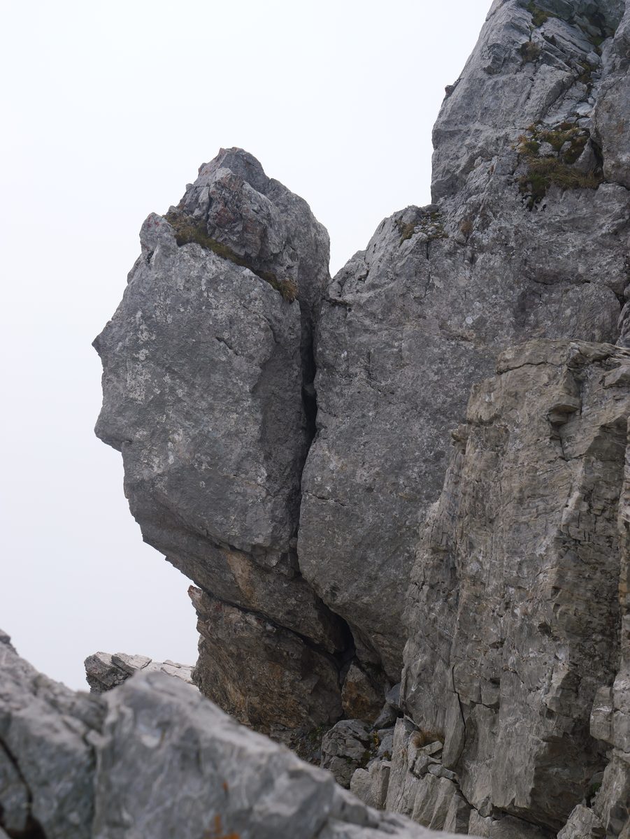 Kalkfelsturm, dessen Umriss an ein Gesicht im Profil erinnert