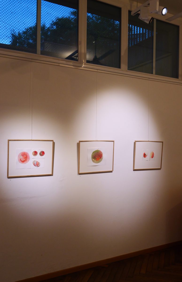 Drei gerahmte Aquarelle an einer weissen Wand unter Spotlicht